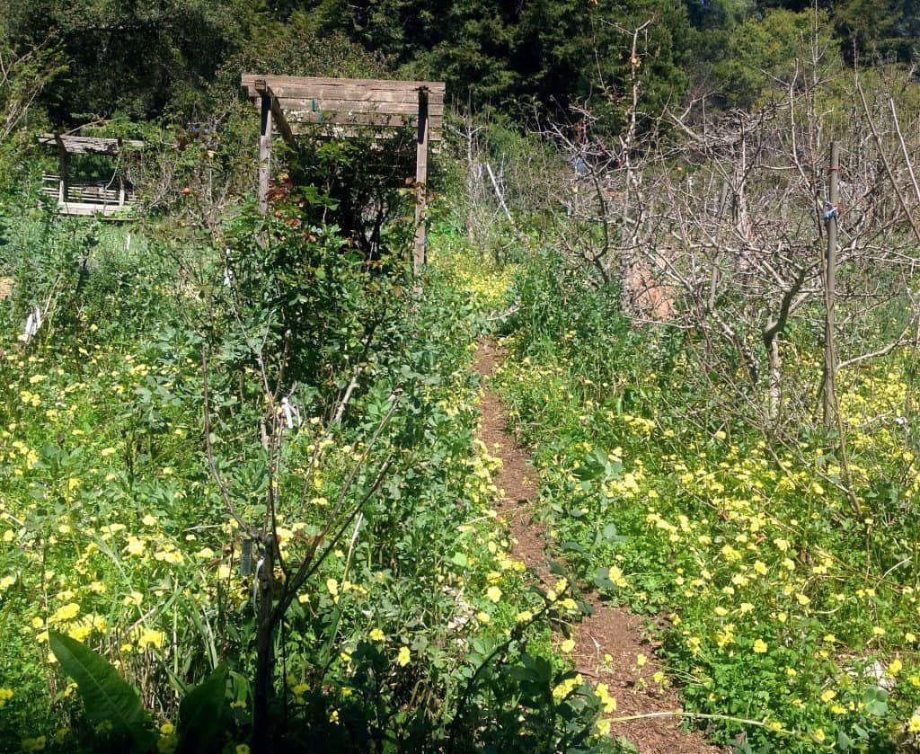 blog1 image
